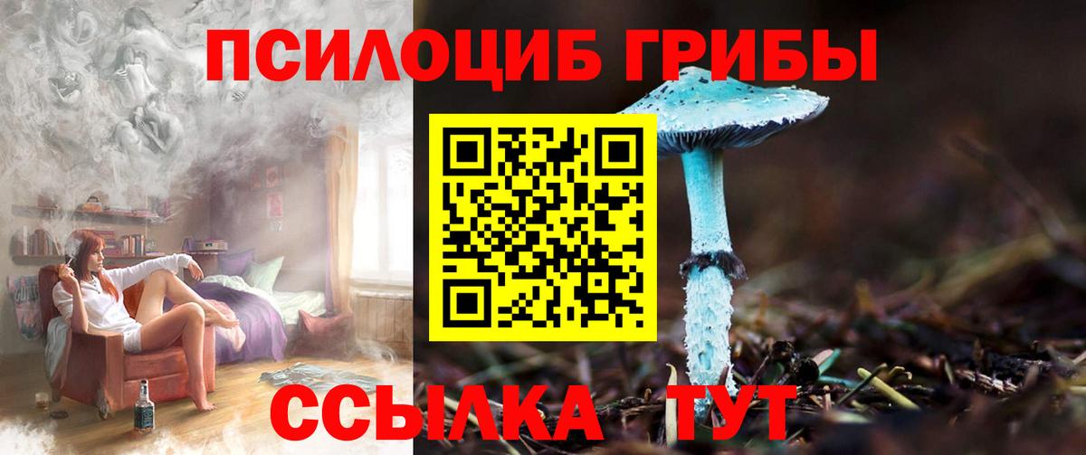 Псилоцибиновые грибы Psilocybe  где найти наркотики  Киселёвск  Вход с VPN 